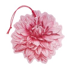 Dahlia - Multipurpose Scented Flower