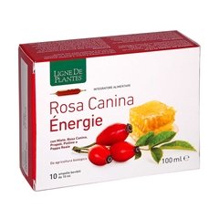 Rosehip Energy organic - 10 vials 10 ml each
