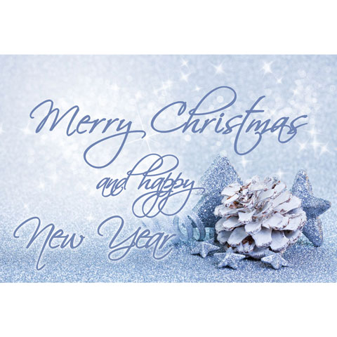 Merry Christmas and Happy New Year! -  Erboristeria Natsabe: vendita online | erbe officinali, tisane, integratori